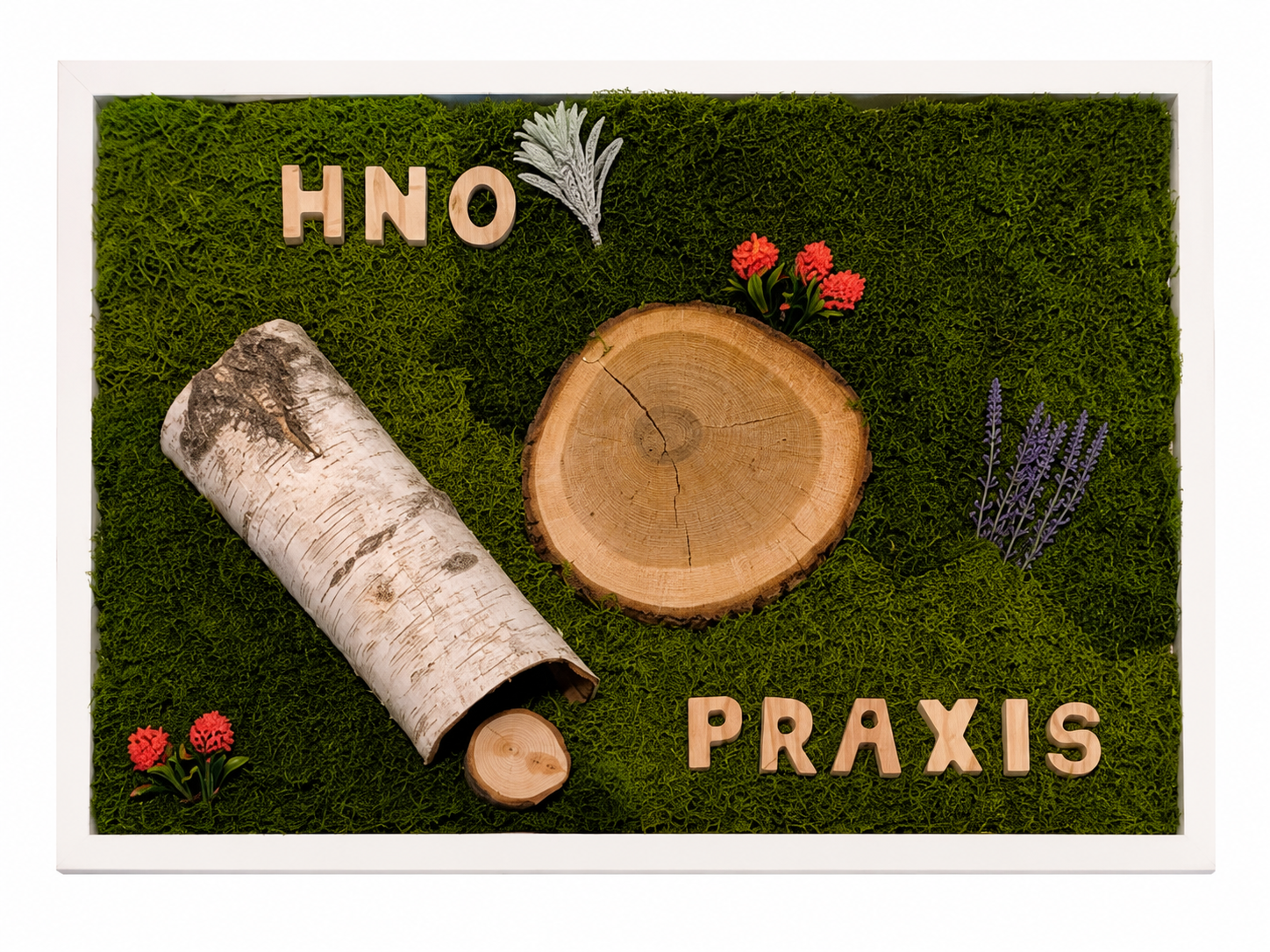 HNO Praxis